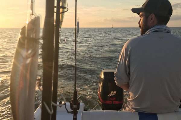 DomFishing
