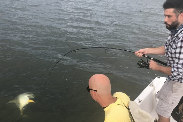 FishOn